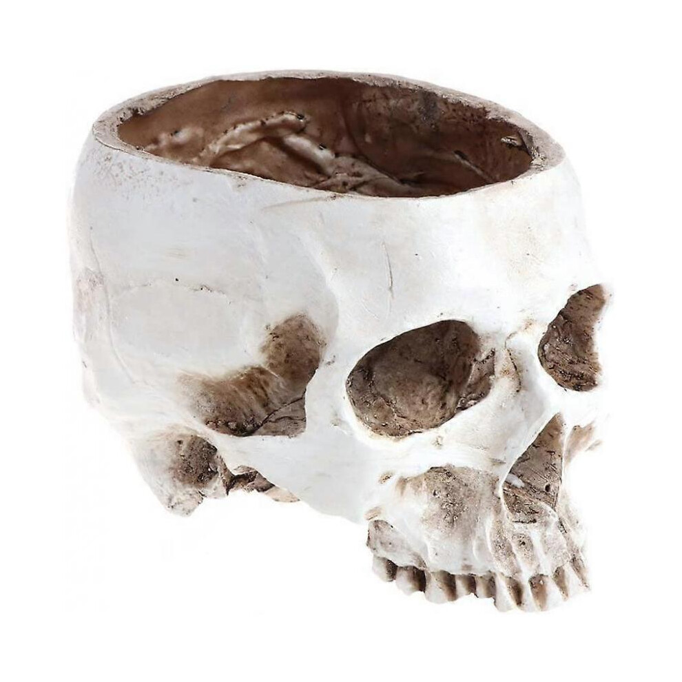 Skull Planter Cactus Planter Small Item Container Key Candy Candy Bowl Halloween Decoration