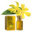 SCUS Parfumer Ylang Ylang 12 ML Koncentreret Duft 5