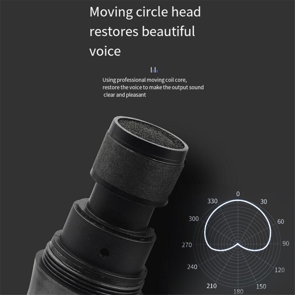 Microfono Wireless A 2 Canali Uhf A Frequenza Fissa, Microfono Palmare Per Feste, Spettacoli Professionali, Riunioni