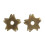 AJ Tack Spur Wheelels Messing 1"""" x 5 pt 1