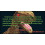 Fliptomania Dinosaurier-Animations-Daumenkinos, 3er-Pack 3