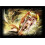 Deck Protectors Generals Order     Standardgr      e     Yuan Shao     50er-Pack 2