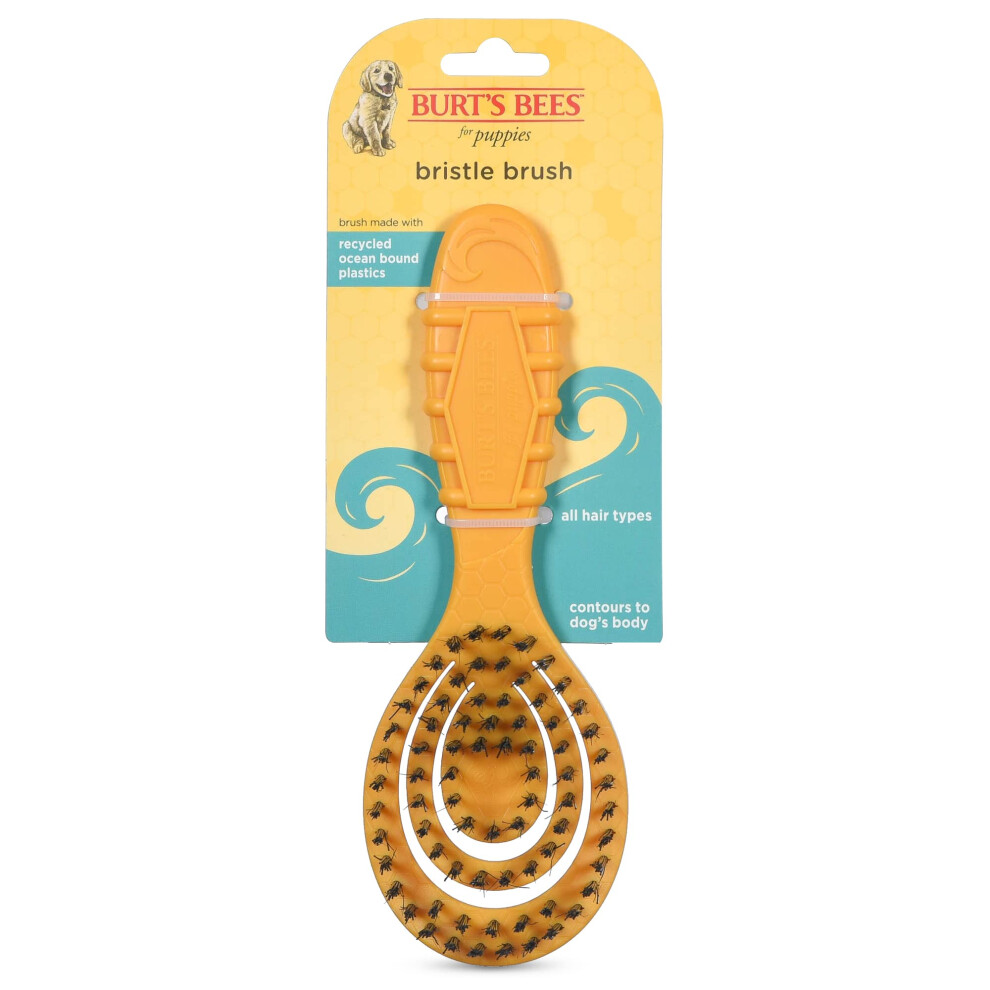 Burt's Bees for Dogs Small Bristle Brush with Natural Boar