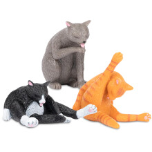 Accoutrements Grappige Schoonmaak Kittens - Trots op Persoonlijke Hygiëne in Drie Houdingen