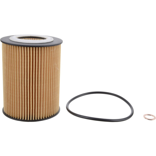 Fram Extra Guard CH8081 10K mijl verversingsinterval patroonoliefilter 1