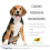 Four Paws Magic Coat Σαμπουάν Για Σκύλους, Προϊόντα Περιποίησης Σκύλων, Σαμπουάν 16 oz 2