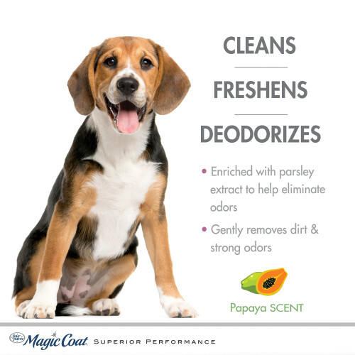 Four Paws Magic Coat Σαμπουάν Για Σκύλους, Προϊόντα Περιποίησης Σκύλων, Σαμπουάν 16 oz 1