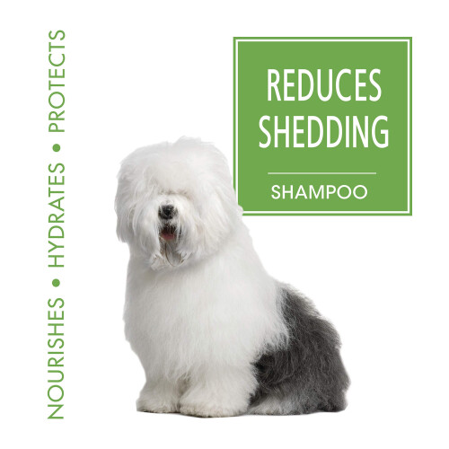 SHAMPOO REDUTOR DE GALPO MAGIC COAT 1