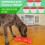 GoSports Pets PupsCream Parlor - Μη Ολισθηρός Κάτοχος Παγωτού και Λιχουδιών 2