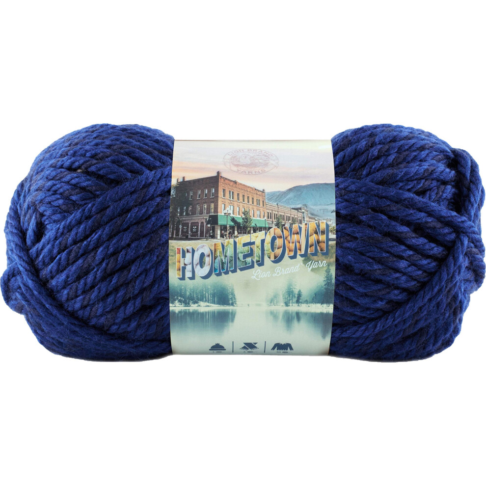 Lion Brand Forth Worth Blue Hometown USA Yarn 24/Pk 24 Pack