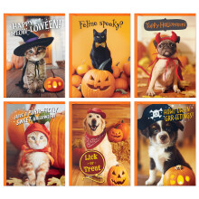 Hallmark Halloween Cards Assortment Pet Puns (48 Cards with Envelopes)