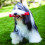 KONG KONG Squeezz Ring Dog Toy  Medium  Assorted Colors 2