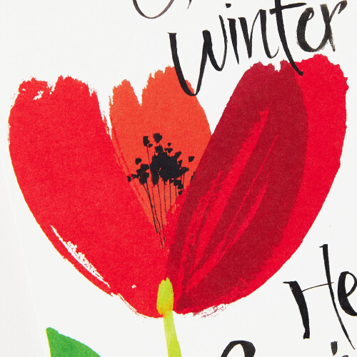 Hallmark Osterkarten-Set ?Goodbye Winter? (8 Karten mit Umschl?gen) 2