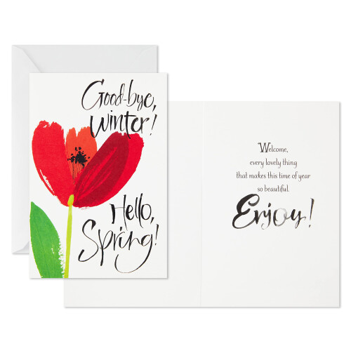 Hallmark Osterkarten-Set ?Goodbye Winter? (8 Karten mit Umschl?gen) 1