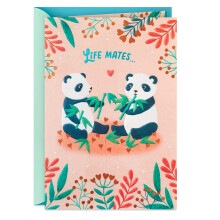 Hallmark-verjaardagskaart (Soul Mates Panda's)