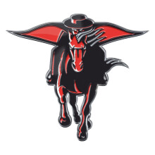 Fanmats 60661 Texas Tech Red Raiders Heavy Duty Aluminium Pr?get farve Emblem Auto Emblem Decal - Alternativ
