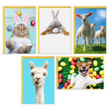 Hallmark Paaskaarten Assortiment 5 Kaarten met Enveloppen (Hond Kat Lama Lammetjes Konijntje)