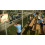 Prison Break - Xbox 360 (Renewed) 2