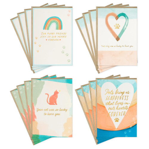 Hallmark Pet Sympathy Cards Sortimento de coraes e arco-ris (16 cartes e envelopes)