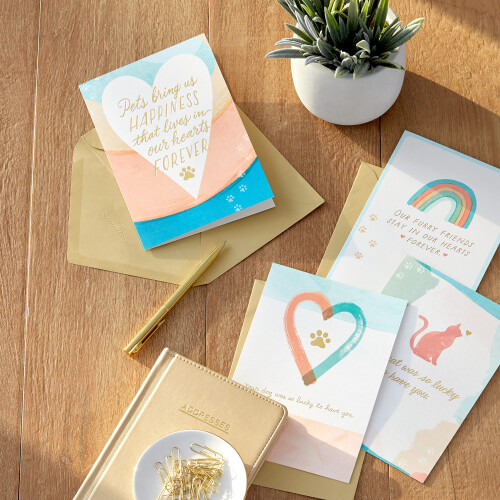 Hallmark Pet Sympathy Cards Sortimento de coraes e arco-ris (16 cartes e envelopes) 1