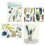 Hallmark Blank Cards Sortiment Nature Prints (48 karet s oblkami) 1