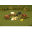 BACHMANN Scene Scapes Figures - HORSES (6pcs/pk) - O Scale 1