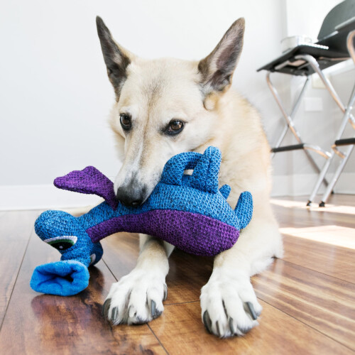 KONG KONG Woozles Blue Md 1