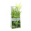 Hagen Φυτά Fluval Bamboo Shoots για Ενυδρείο, 14-Inch 2