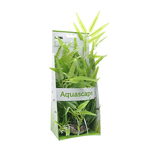 Hagen Φυτά Fluval Bamboo Shoots για Ενυδρείο, 14-Inch 1