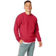 Unisex Ecosmart 5050 SweSshirt - Cardinal - S (D0102H7DF1X)