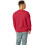 Hanes ComfortBlend EcoSmart Crew Sweatshirt 2