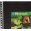 Profolio de Itoya Art Profolio Polyglass 10-Pack Multi-Ring Reabilt Pages-Retrato 11 x 17 polegadas 2