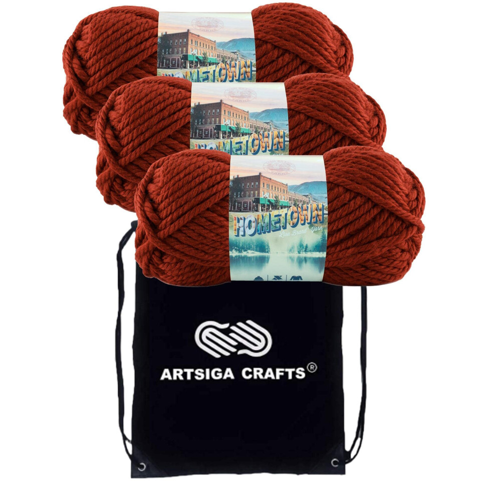 Lion Brand Hometown Tampa Spice 135-114 (3-Skeins - Same Dye Lot) #6 S Bulky Acrylic Yarn for Crocheting and Knitting with Project Bag