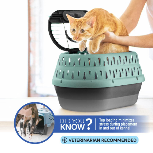 Petmate Top Load Pet Transport para gatos 19 polegadas de comprimento det   m animais de estima      o de at    10 libras roxas 2