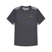 (L, Dark Grey) Ellesse Mens Palestrani T-Shirt