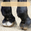 Manure Fork Replacement , Pitchfork Horse Rake, for Picking Up Manure, Stable Waste Removal, Black 3