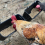 Grün 2er-Pack Entenfutterzaun Hängefuttertrog Gans Truthahn mit Clips 3
