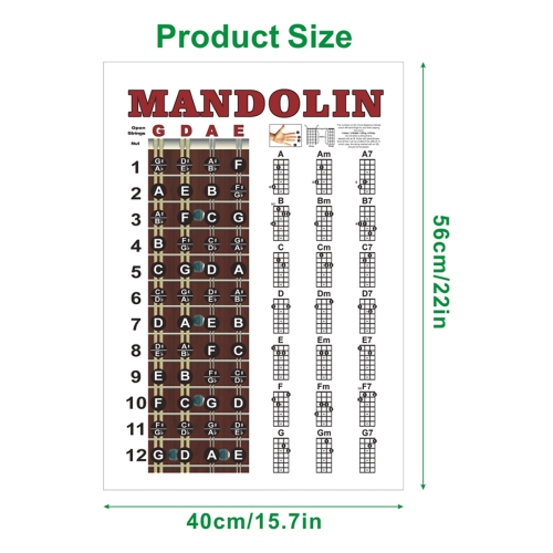 Affiche de mandoline, guide des accords, formation musicale, doigté sur le manche 2