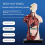 Human Body Model with 7 Removable Organ Models,Educational Anatomy for Biological Science Learning 9