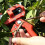 (1 set)Garden Grafting Tool Multi-Function Seedling Fruit Tree Grafting Shears Farming Pruning Grafting Machine Budding 4