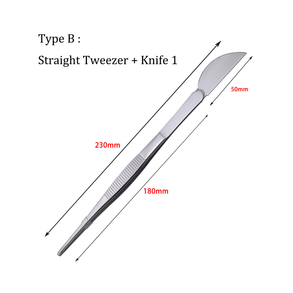 (B)2-in-1  304 Stainless Steel Root Rake with Bonsai Tweezers with Ergonomical Handle Soil Farming Tool for Succulents Crafting-image-OPC-PH7DSB2-NEW