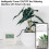 (with Solar Panel)Moes WiFi Tuya Smart Watering Machine Automatic Plants Controller unit System Garden drip Irrigation Tools 4
