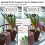 (without Solar Panel)Moes WiFi Tuya Smart Watering Machine Automatic Plants Controller unit System Garden drip Irrigation 5