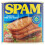 Spam Chopped Pork & Ham 340g - Pack of 2 1