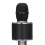 (Μαύρο) Ασύρματο ηχείο μικροφώνου Karaoke Bluetooth, Στερεοφωνι 5