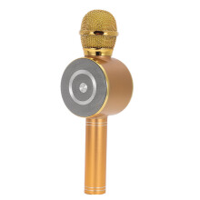 (Χρυσό) Ασύρματο μικρόφωνο, Ηχείο Hifi, Bluetooth, Μαγνητικό, Φόρτ