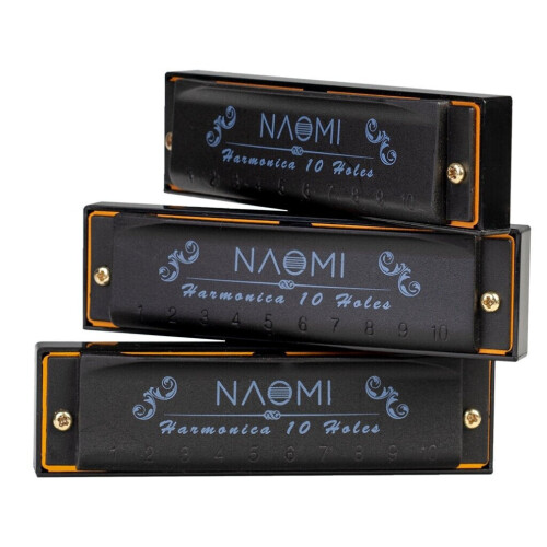 Σετ 3 τεμαχίων Hoodoo Blues Harmonica C D G Tone Harmonica με θήκη 2
