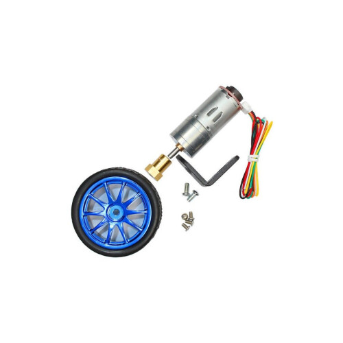 Motore Elettrico a Funzionamento Lento da 12 V, Piccolo Motoriduttore, Ingranaggio a velocità Lenta con Rotazione Silenziosa 'ingranaggio Terminale