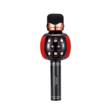 Microfono Bluetooth (Rosso) Altoparlante Radio FM Scheda TF Soundbar HD Microfono 1200mAh Karaoke portatile