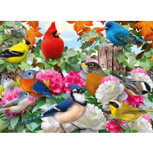Ravensburger Παζλ Κήπου με Πουλιά 500 Τεμαχίων για Ενήλικες - 12000147